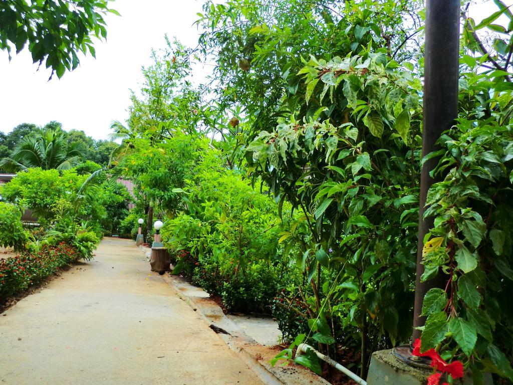 The Krabi Forest Homestay Ao Nang Exteriér fotografie